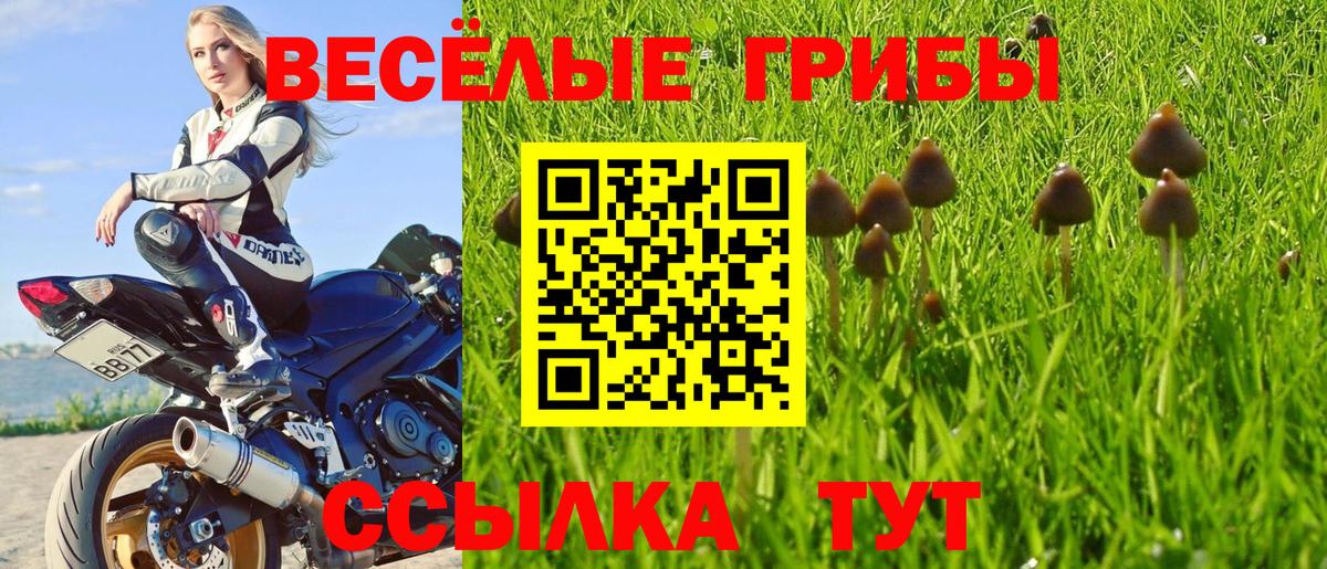 Галлюциногенные грибы мицелий  Вход с VPN  Боровичи 